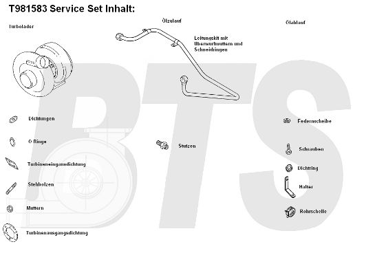 BTS TURBO Компрессор, наддув T981583